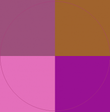 Consectetuer ideo nostrud plaga.